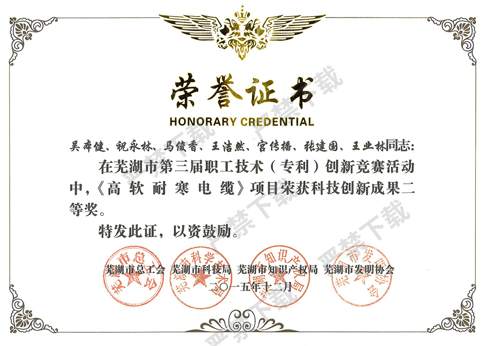 科技创新成果二等奖荣誉证书