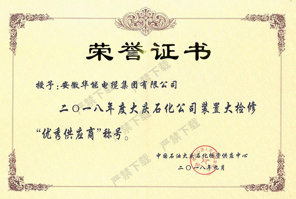 2018年度大庆石化公司装置大检修“优秀供应商”称号
