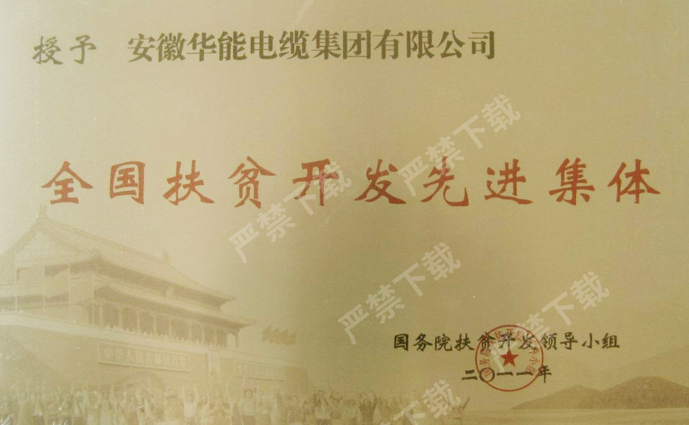 全国扶贫开发先进集体