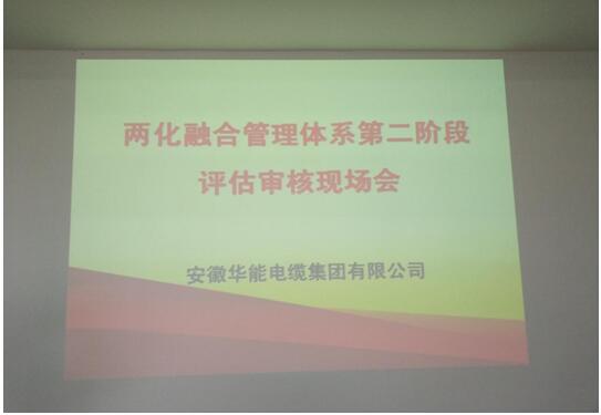 安徽mk体育电缆集团有限公司 顺利通过两化融合管理体系二阶段现场审核