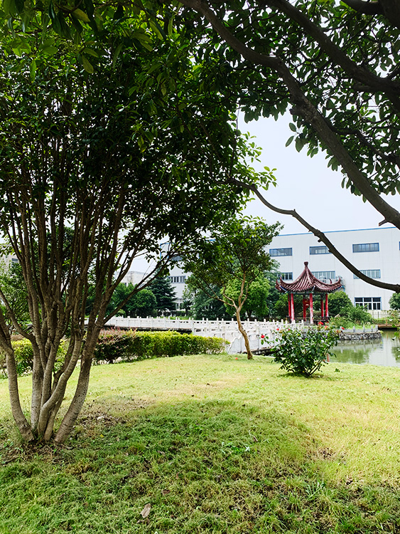 办公休息区